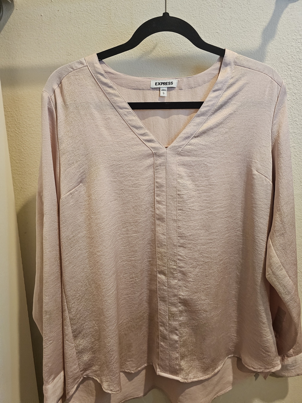 Express Pale Blush V-Neck Long Sleeve Blouse